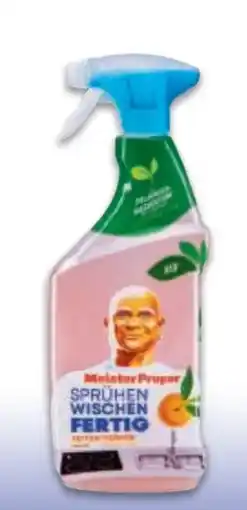 Metro Reiniger Spray Angebot