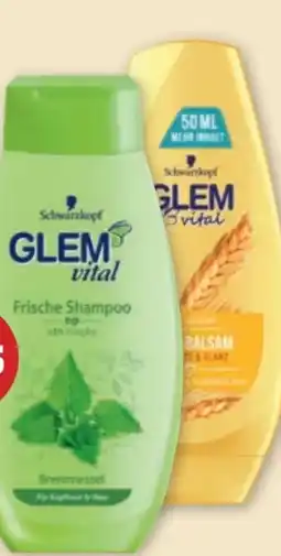 PENNY Glem Vital Shampoo Angebot