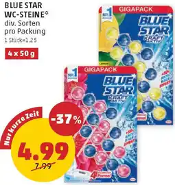 PENNY BLUE STAR WC-STEINE Angebot