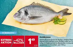 Billa Goldbrasse Angebot