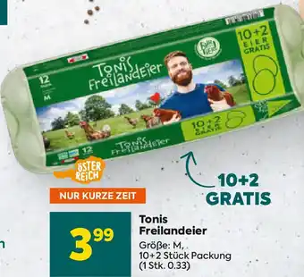 Billa Tonis Freilandeier Angebot