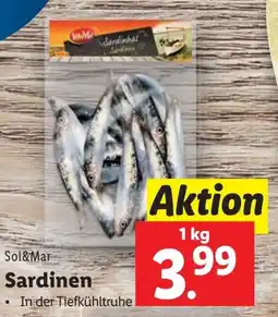 Lidl Sardinen 1kg Angebot
