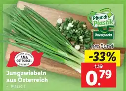 Lidl Jungzwiebeln aus Österreich Angebot