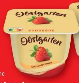 Lidl Obstgarten Angebot