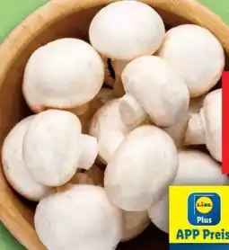 Lidl Champignons Angebot