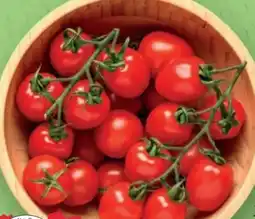Lidl Premium Cherrystrauchtomaten Angebot