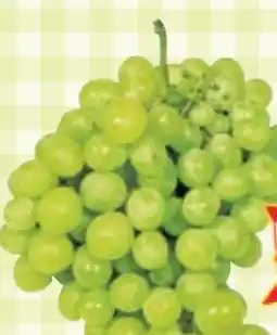 Maximarkt Trauben Victoria Angebot