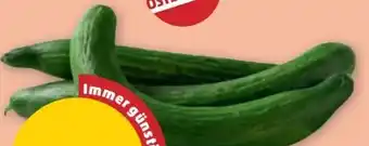 PENNY Gurken Angebot