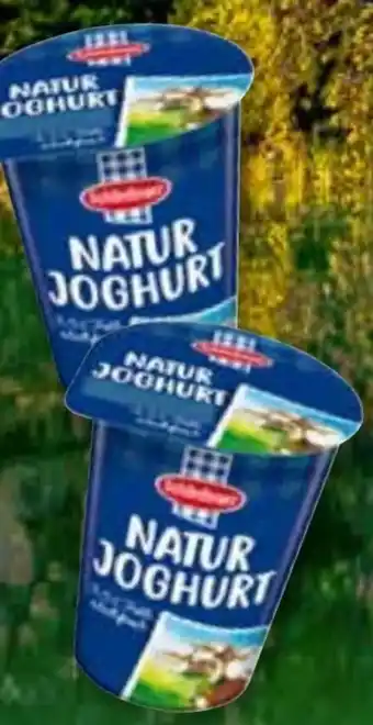 ADEG Naturjoghurt Angebot