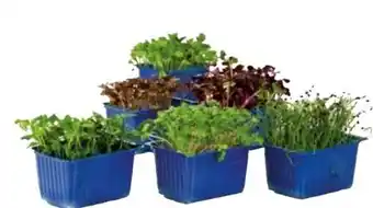 Transgourmet Kresse Sakura Mix Angebot
