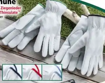 Norma Ziegenleder-Handschuhe Angebot