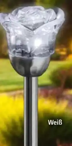 Norma LED-Solar-Gartenstecker Rose Angebot