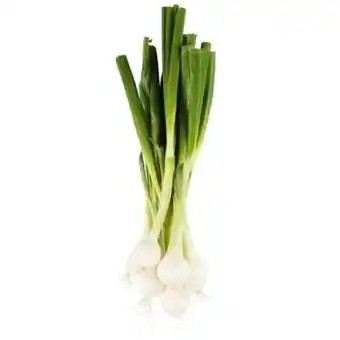 Billa Jungzwiebel Angebot