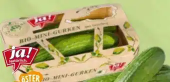 Billa Bio-Mini-Gurken Angebot