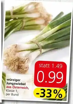 Spar würziger Jungzwiebel Angebot