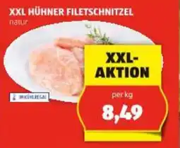 Hofer XXL HÜHNER FILETSCHNITZEL Angebot