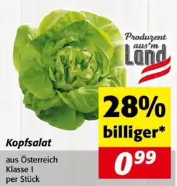 Nah&Frisch Kopfsalat Angebot