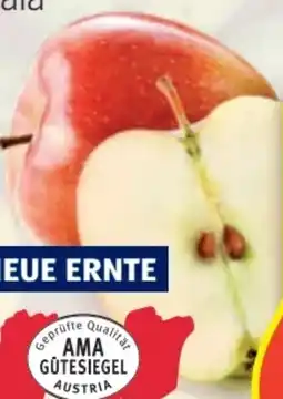 Hofer Äpfel Lose Angebot