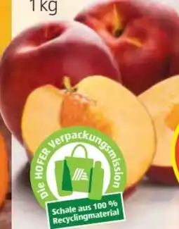 Hofer Nektarinen Angebot