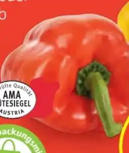 Hofer Paprika Angebot