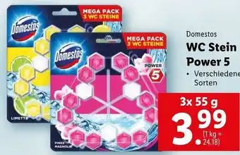 Lidl WC Stein Power 5 3x55g Angebot