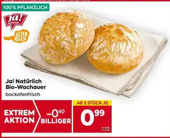 Billa Ja! Natürlich Bio-Wachauer Angebot