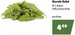 Rucola Salat 500 g