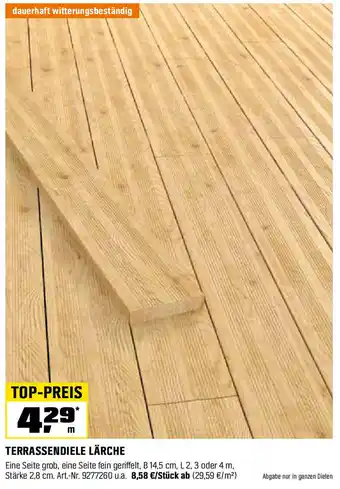 OBI TERRASSENDIELE LÄRCHE Angebot