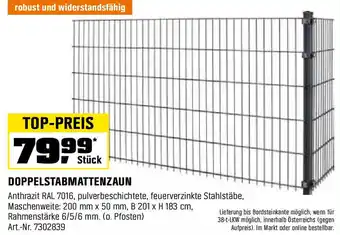 OBI DOPPELSTABMATTENZAUN Angebot