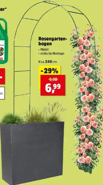 Thomas Philipps Rosengarten- bogen Angebot