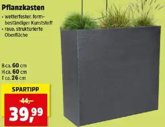 Thomas Philipps Pflanzkasten Angebot