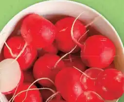 Lidl Snack Radieschen Angebot