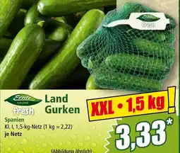 Norma Land Gurken Angebot