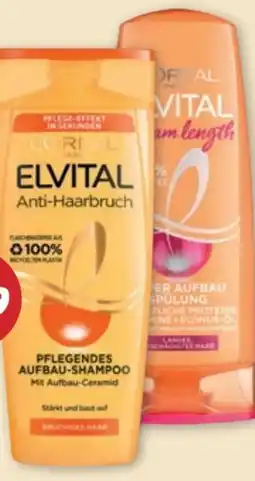 PENNY Elvital Shampoo Angebot