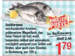 Maximarkt Goldbrasse Angebot