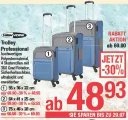 Maximarkt Trolley Professional Angebot