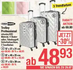 Maximarkt Trolley Professional Angebot