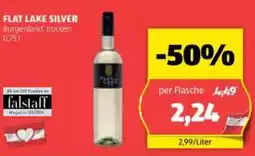 Hofer Flat lake silver Angebot