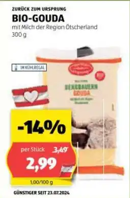 Hofer Bio gouda Angebot