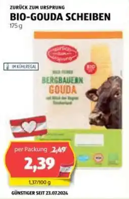 Hofer Bio gouda scheiben Angebot