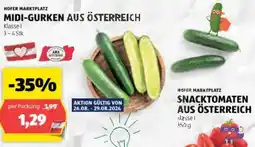 Hofer Midi gurken Angebot