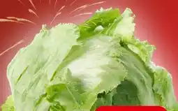 Spar Eisbergsalat Angebot