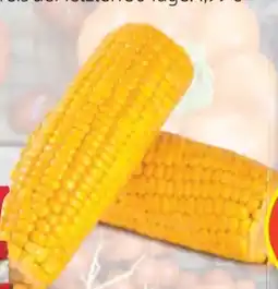 Hofer Zuckermais Angebot