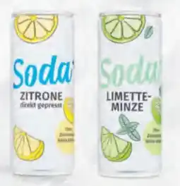 Hofer Soda Zitrone Angebot