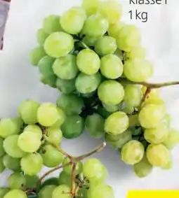 Hofer Trauben Angebot