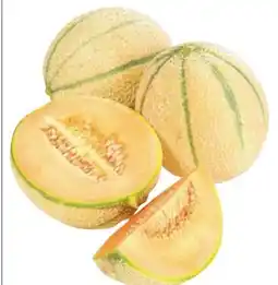 Metro Zuckermelone Angebot