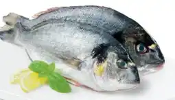 Metro Goldbrasse Angebot