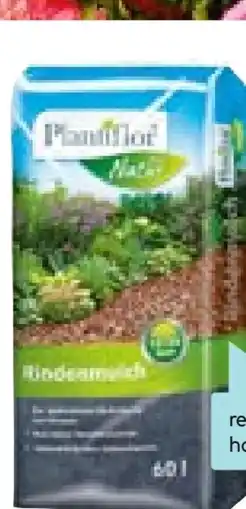 Hellweg Rindenmulch Angebot