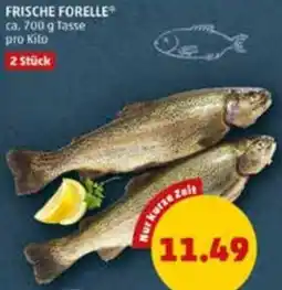 PENNY Frische forelle Angebot