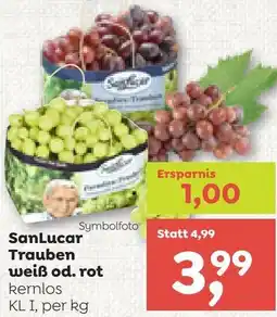 ADEG Sanlucar trauben weiß od. rot Angebot